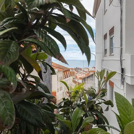 Appartement Figueiras *