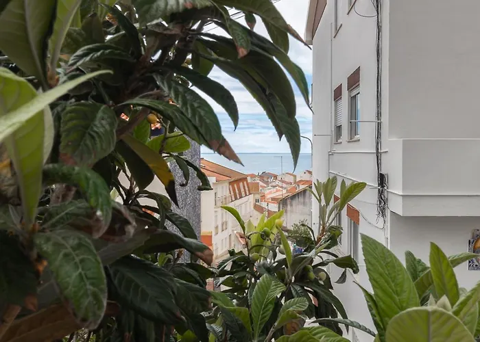 아파트 Figueiras *